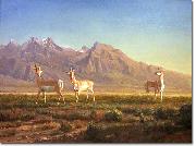 Albert Bierstadt Prong-Horned Antelope oil